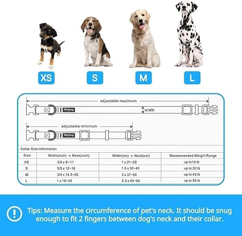 Miniatura 6 de Blueberry Pet 10 Patrones Primavera Aroma Floral Collares Collares Personalizados