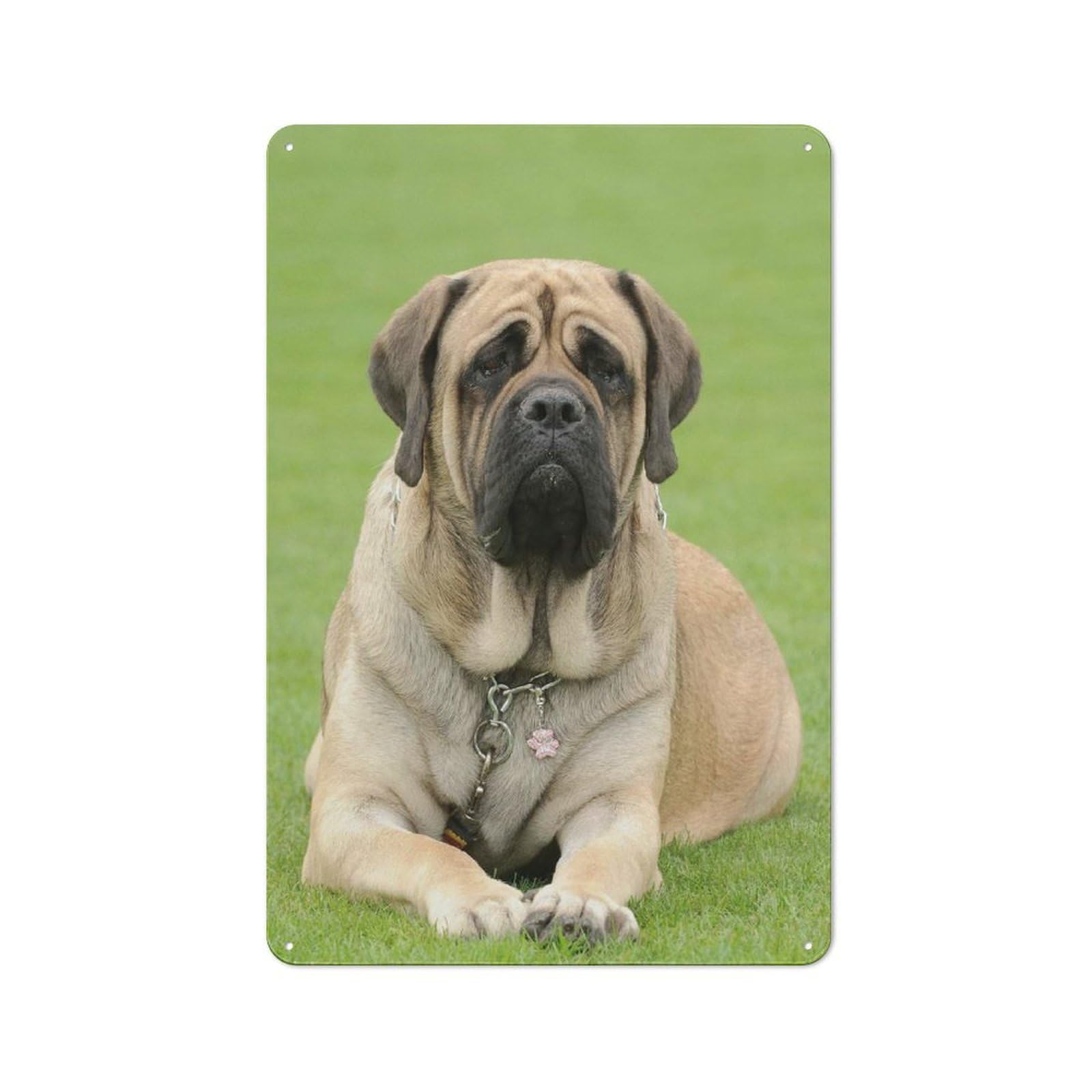 Junmoney Style Clean Industrial English Mastiff Industrial Metal Sign 30X20cm, Studio Wall Art For Loft, Studio, Office Or Creative Room