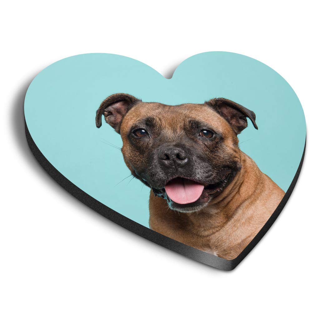 Destination Vinyl Ltd Multicolor 1 X Heart Mdf Magnets - Staffordshire Bull Terrier Dog Staffie 24055