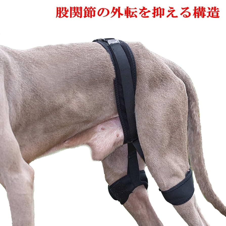 犬☆股関節サポーター Amazon | Nikkashop 犬 サポーター 股関節 小型犬 Sサイズ