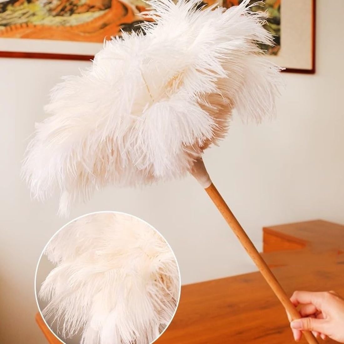 Plumeau, Plumeau en Plumes d'autruche avec Manche Bois, Douces for Le Nettoyage de la Maison, Voiture et du Bureau(Black)