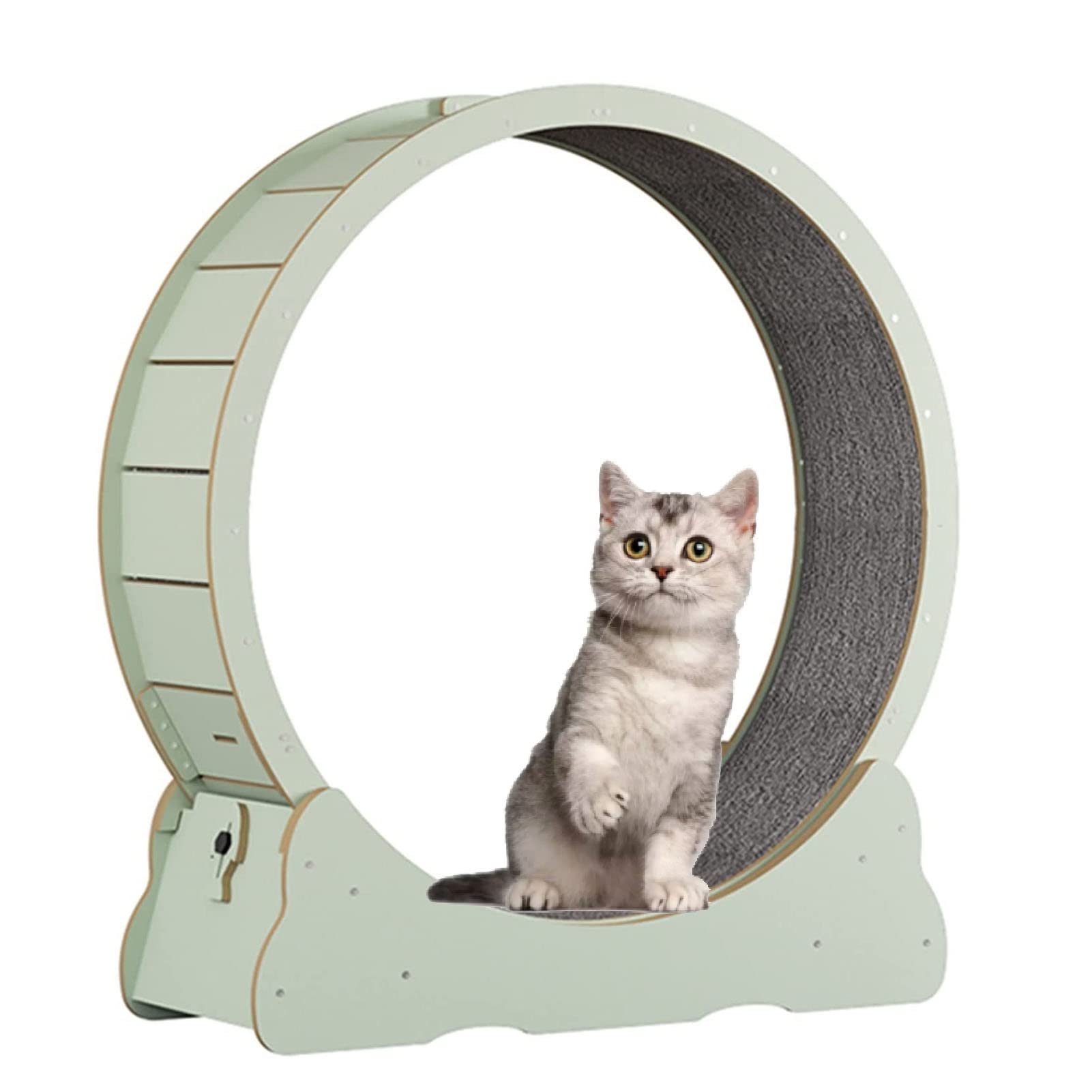 Cinta De Correr para Ejercicios con Ruedas para Gatos, Rueda para Correr para Gatos, Rueda para Hámster para Gatos Silenciosa Y Resistente Al Desgaste, Marco De Escalada,M