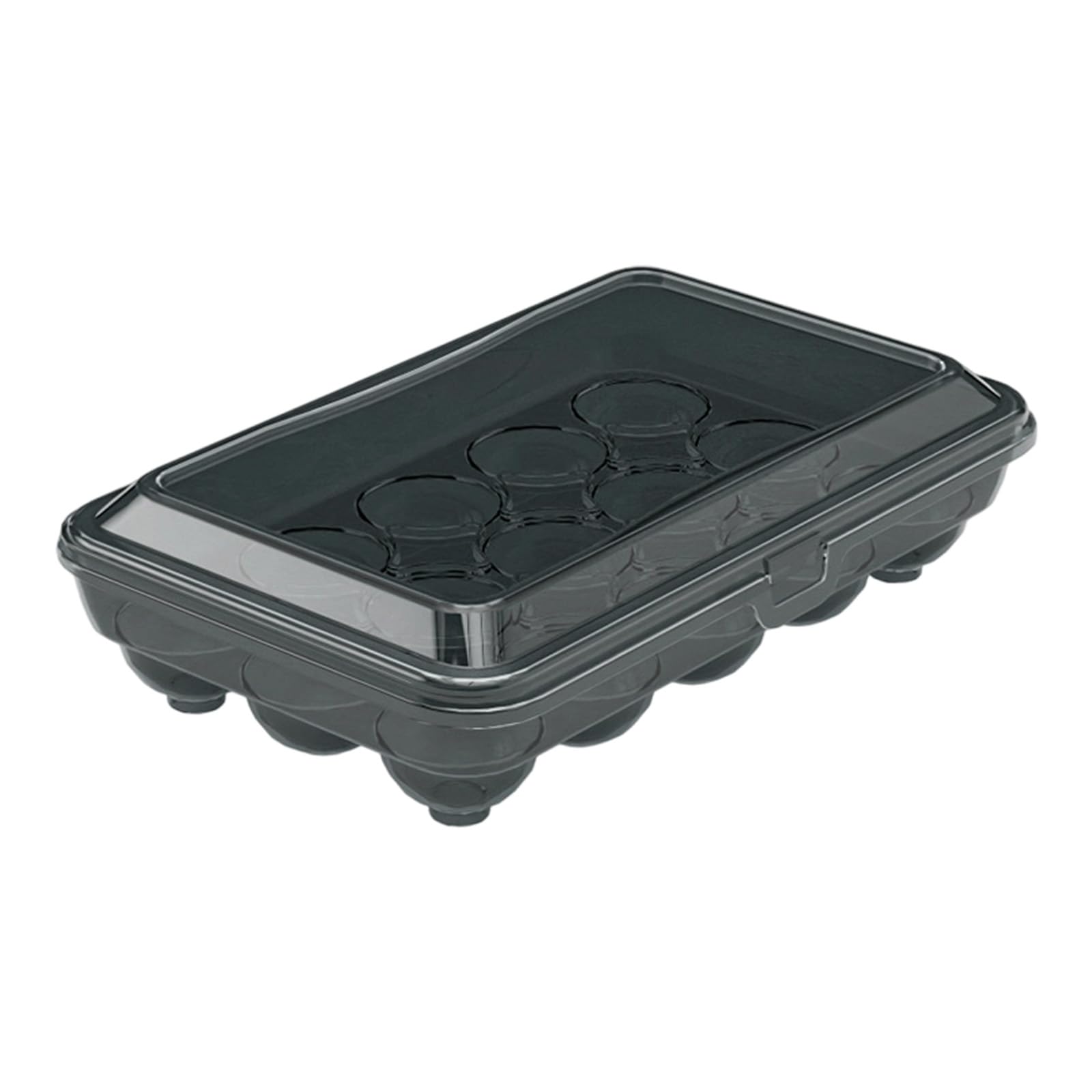 yanzunlrn Eggs Box Ideal for Storing and Carrying Eggs Storage Case with 10/15 Compartments Kitchen Tool Oocyte Holder