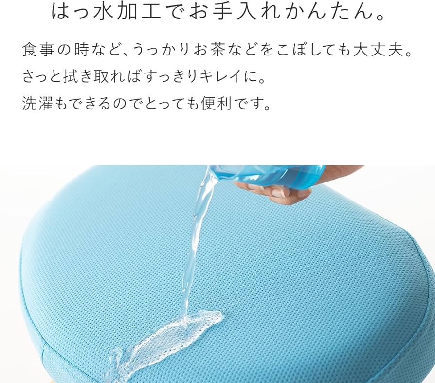 バランスイージー　カバー付 バランス イージー専用｜きせかえカバーnew バランスラボ