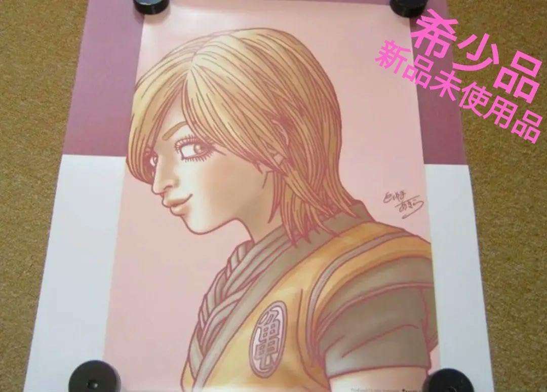 Amazon.co.jp: 浜崎あゆみ 鳥山明 ドラゴン ボ ール Rule ポスター