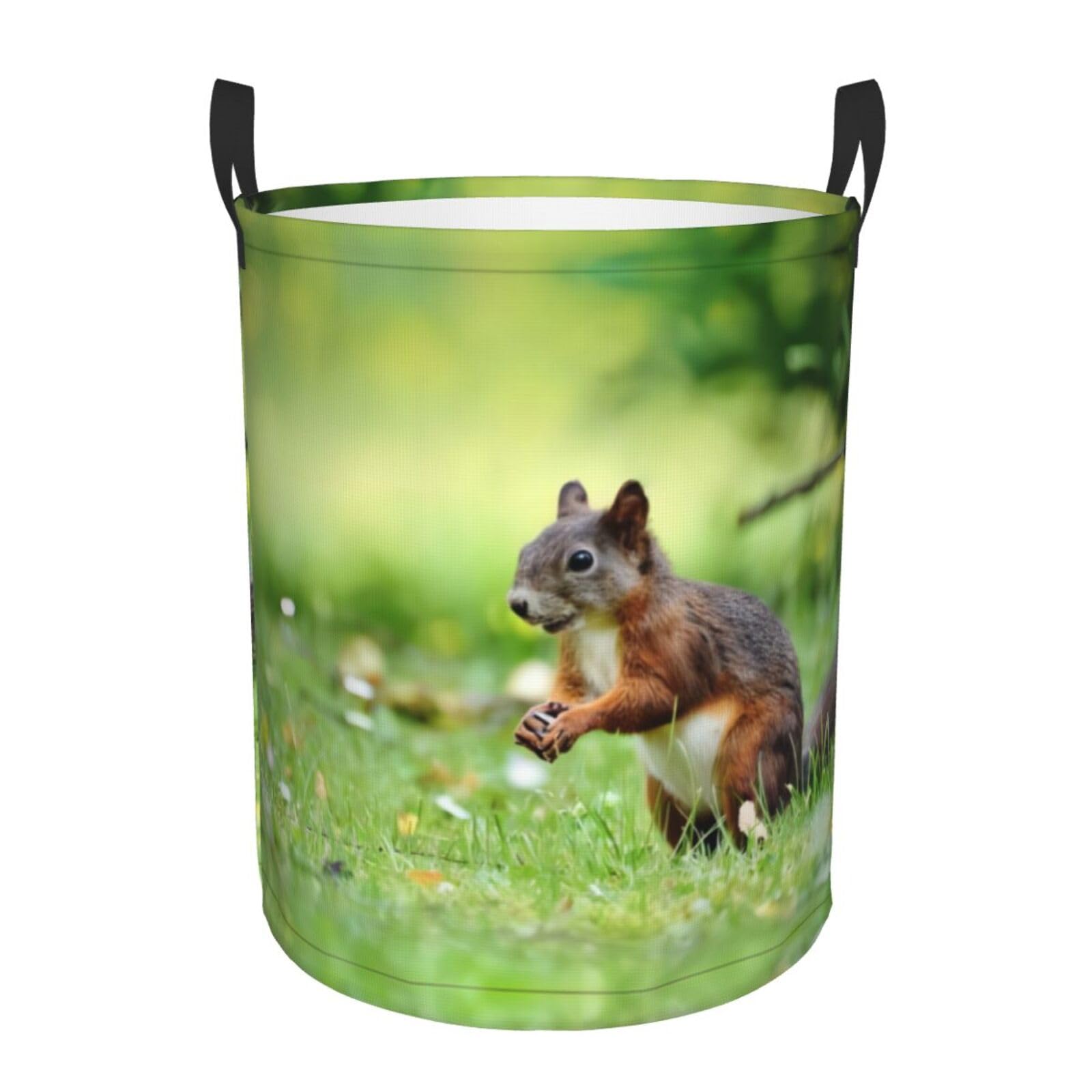 M Circular Hamper Cute squirrel Print Storage Basket for Home