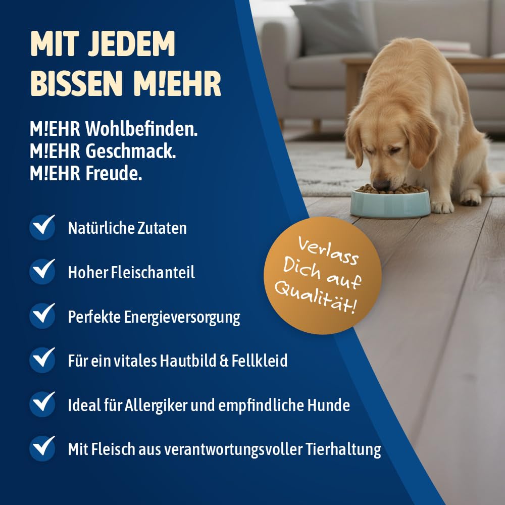 NutriQM® Senior Hundefutter Trocken | 12 kg | Getreidefreies Trockenfutter mit Huhn & Kartoffel | Weniger Fett & Protein für Hunde ab 7 Jahren | Ohne Zucker & Konservierungsstoffe | Made in Germany