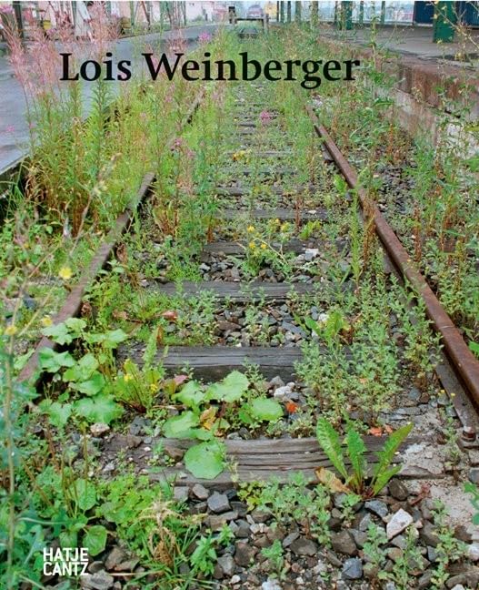 Lois Weinberger: (E/ G) (Zeitgenössische Kunst)