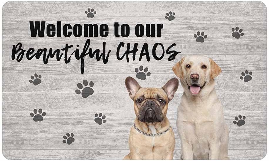 Artsadd Custom Dog Doormat 24"x16" 30"x18", Personalized Welcome Mat for Front Door Outdoor Indoor Home Entrance Kitchen, Paws Print Mats for Dogs Cats, Rubber Rugs Housewarming Gift for Pet Lover Mom