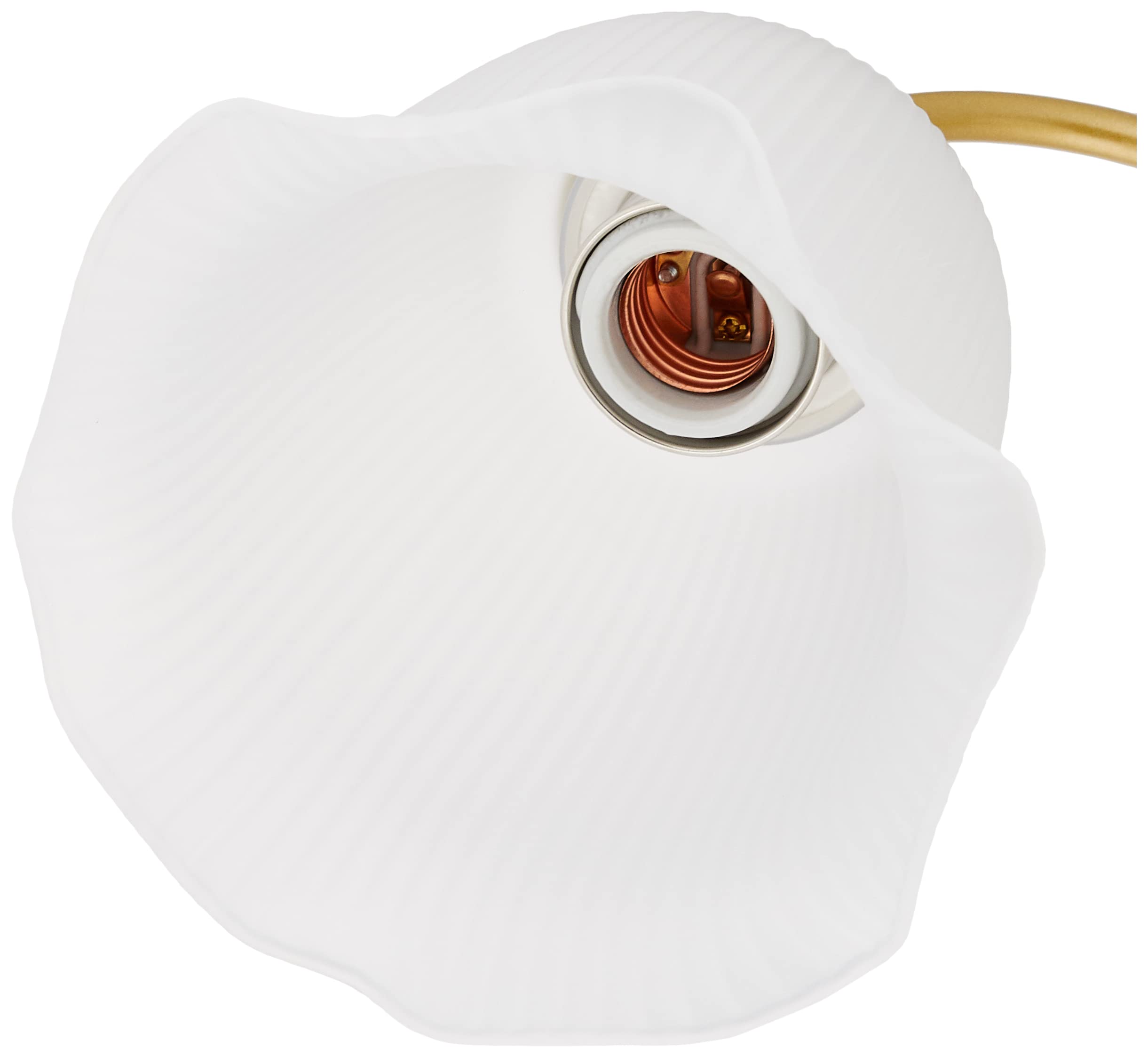 Amazon | 大光電機 DAIKO LEDブラケットライト ランプ付 LED電球 4.3W