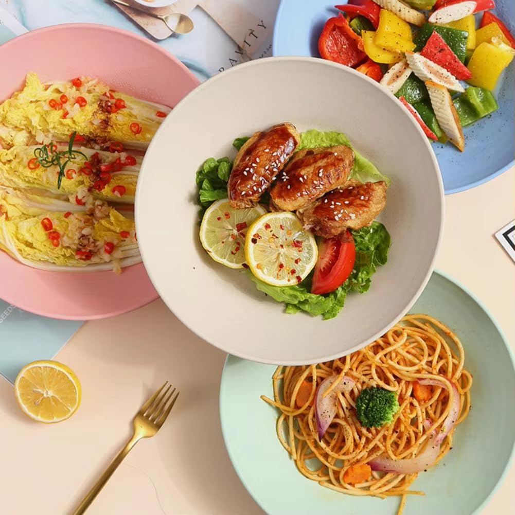 Wheat Straw Soup Bowls - Large Pasta Plates -6 Wheat Straw Soup Bowls - Large Pasta Plates -6