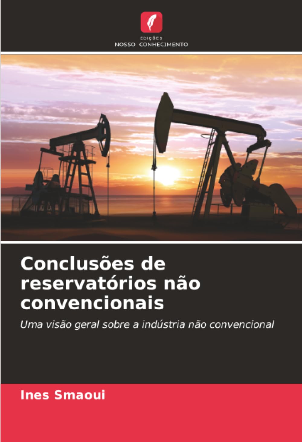 Conclusões de reservatórios não convencionais: Uma visão geral sobre a indústria não convencional