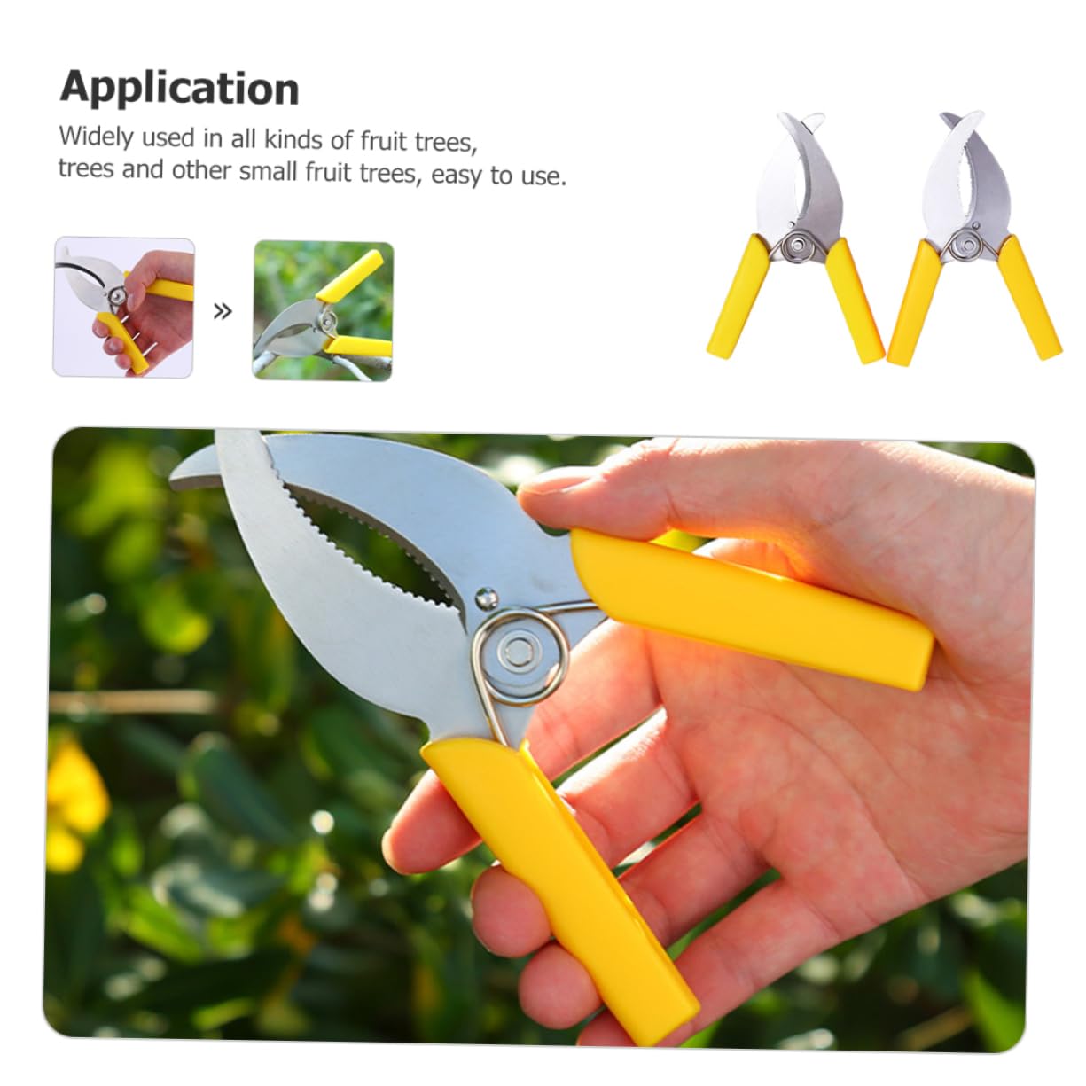 TOYANDONA 3 Ensembles Cisailles À Ceinturer Taille Outil De Jardinage À Main Outil À Main De Plantation Outils À Main Du Jardin Sécateurs À Main De Jardin Plastique 2 Pièces * 3