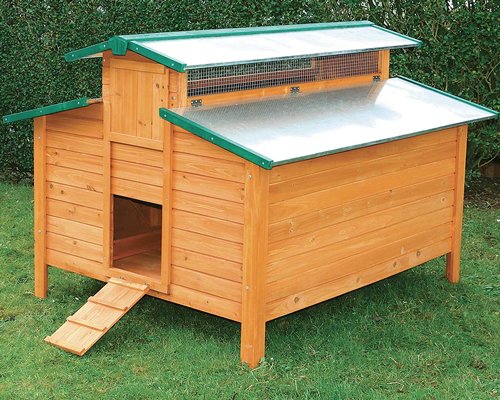 Acheter un poulailler XXL 10 / 12 poules : conseil pour faire le 