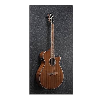 Ibanez アイバニーズ エレアコギター AEG-450MS E ケース付き Amazon | Ibanez アイバニーズ 抱えやすいジャストサイズの
