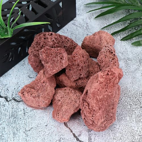 OSOLADY 500goCItB^[fBAn΃tB^[Xg[   AؔpbNK[f pr򉻑f