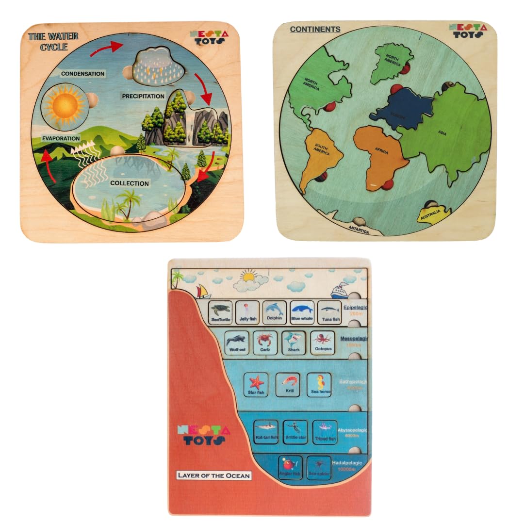 NESTA TOYS - Geography Lover Puzzle Combo - Earth Core, Water Cycle & Ocean Layer Puzzle | Montessori Puzzles (B0CK4YJG8B) Amazon Price History, Amazon Price Tracker