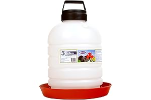 Automated Heated Chicken Waterer: Keeping Your Poultry Hydrated in Cold Weather