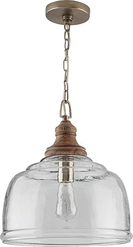 Capital Lighting 330318GY - Colgante de cristal ondulado orgánico transparente estilo costero juliano con acabado de madera de mango hecho a mano, 1
