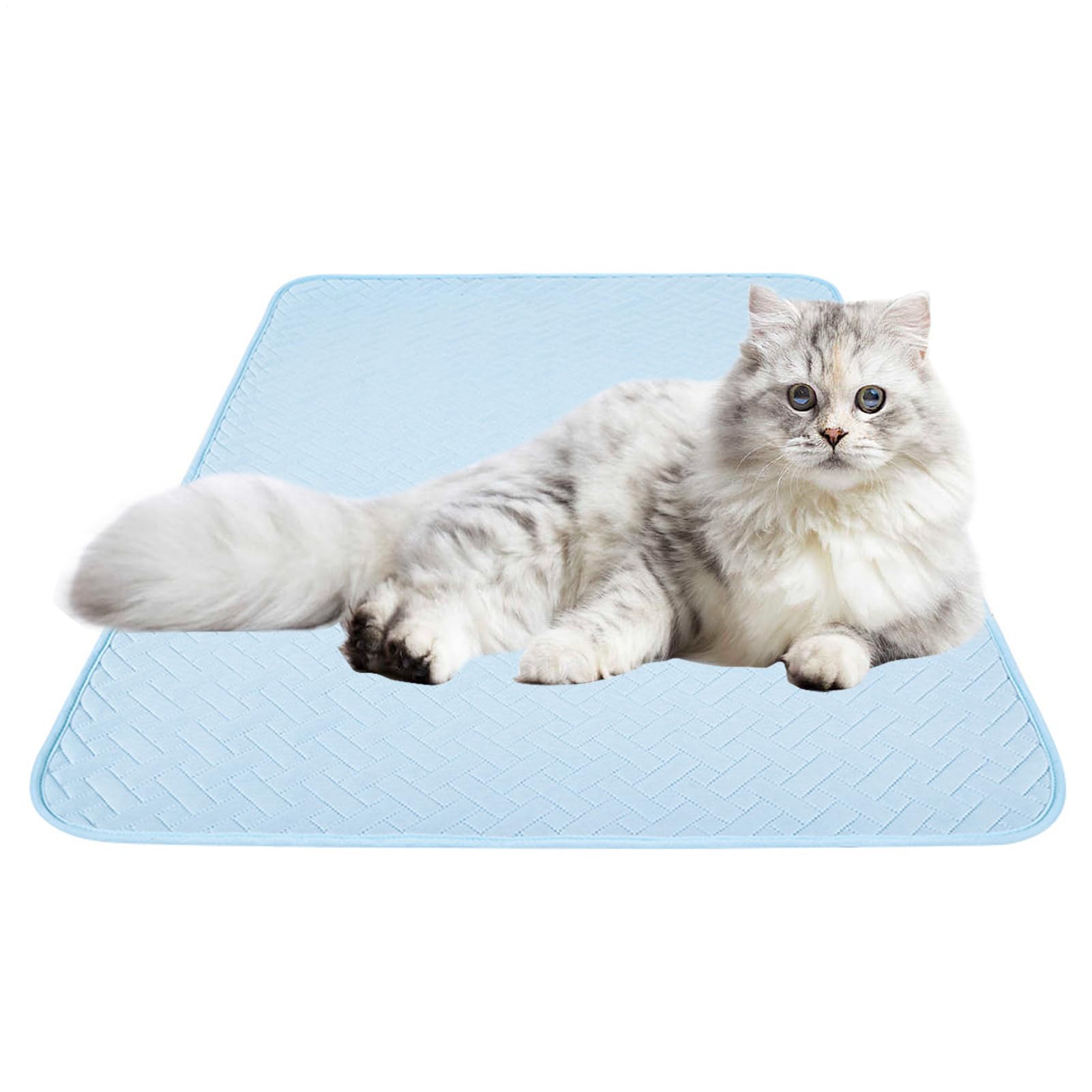 Couverture rafraîchissante pour chiens tapis couchage confortable animaux temps chaud