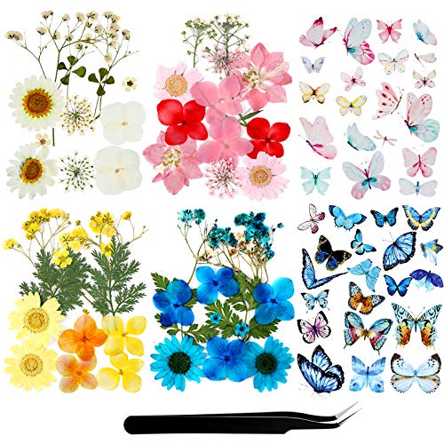 Resin Dried Pressed Flowers and Butterfly for Resin Transparent Stickers Butterfly Scrapbook Decals Real Natural Dried Flowers with Tweezers for Art Resin Supplies DIY Candle Making (Chic Colors) Resin Dried Pressed Flowers and Butterfly for Resin Transparent Stickers Butterfly Scrapbook Decals Real Natural Dried Flowers with Tweezers for Art Resin Supplies DIY Candle Making (Chic Colors)