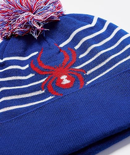 Image of Spyder Boys Icebox Hat