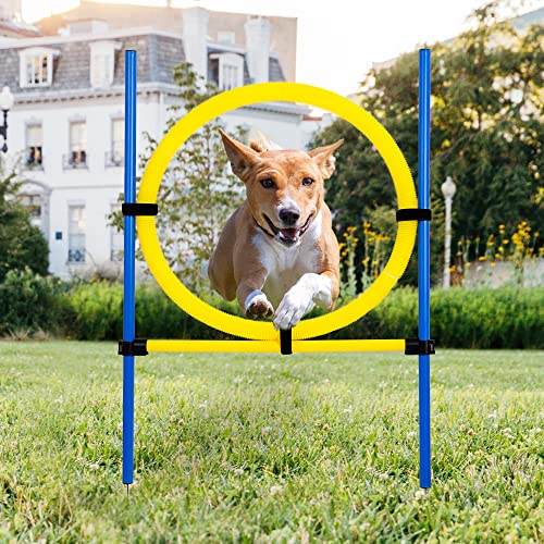 Pet Prime Dog Agility Training Equipment for Dog Obstacle