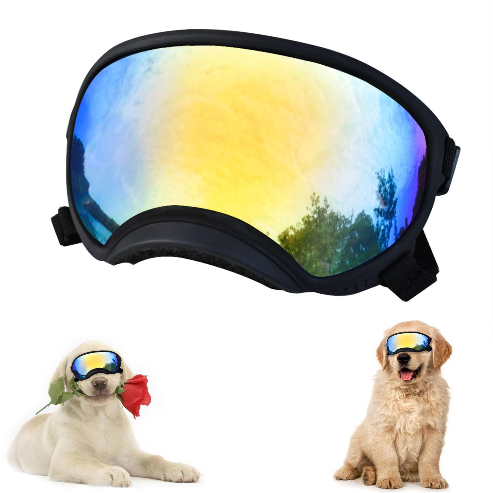 Lunettes de soleil pour chien de grande race avec sangle réglable