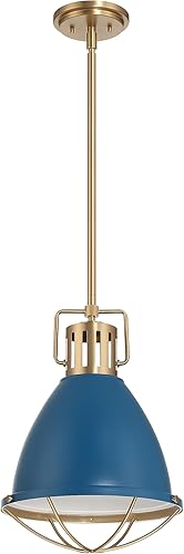 Robert Stevenson Lighting Kent - Lámpara de techo industrial de metal enjaulado de gran tamaño, azul y dorado