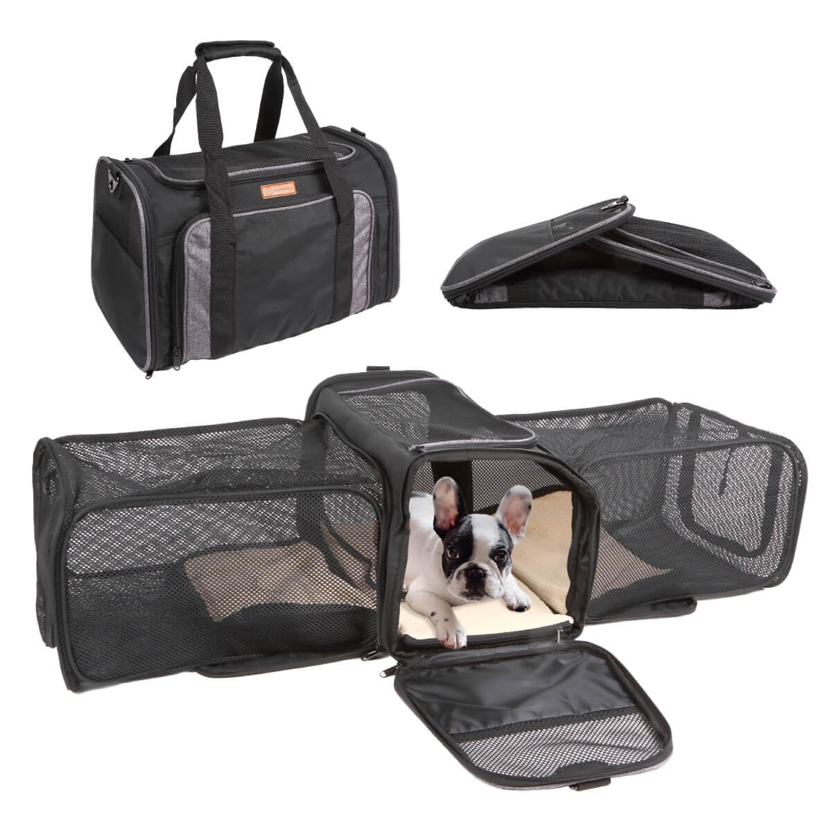 Animary Pet Carrier Shoulder Bag Cat Small Dog Expandable Foldable emerald gray