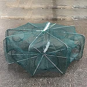 Mesh Fit Foring Net/Tackle/Cage Folding Crayfish Catcher Casting/Fish Network/Crayfish/Shrimp/Smelt/Traps