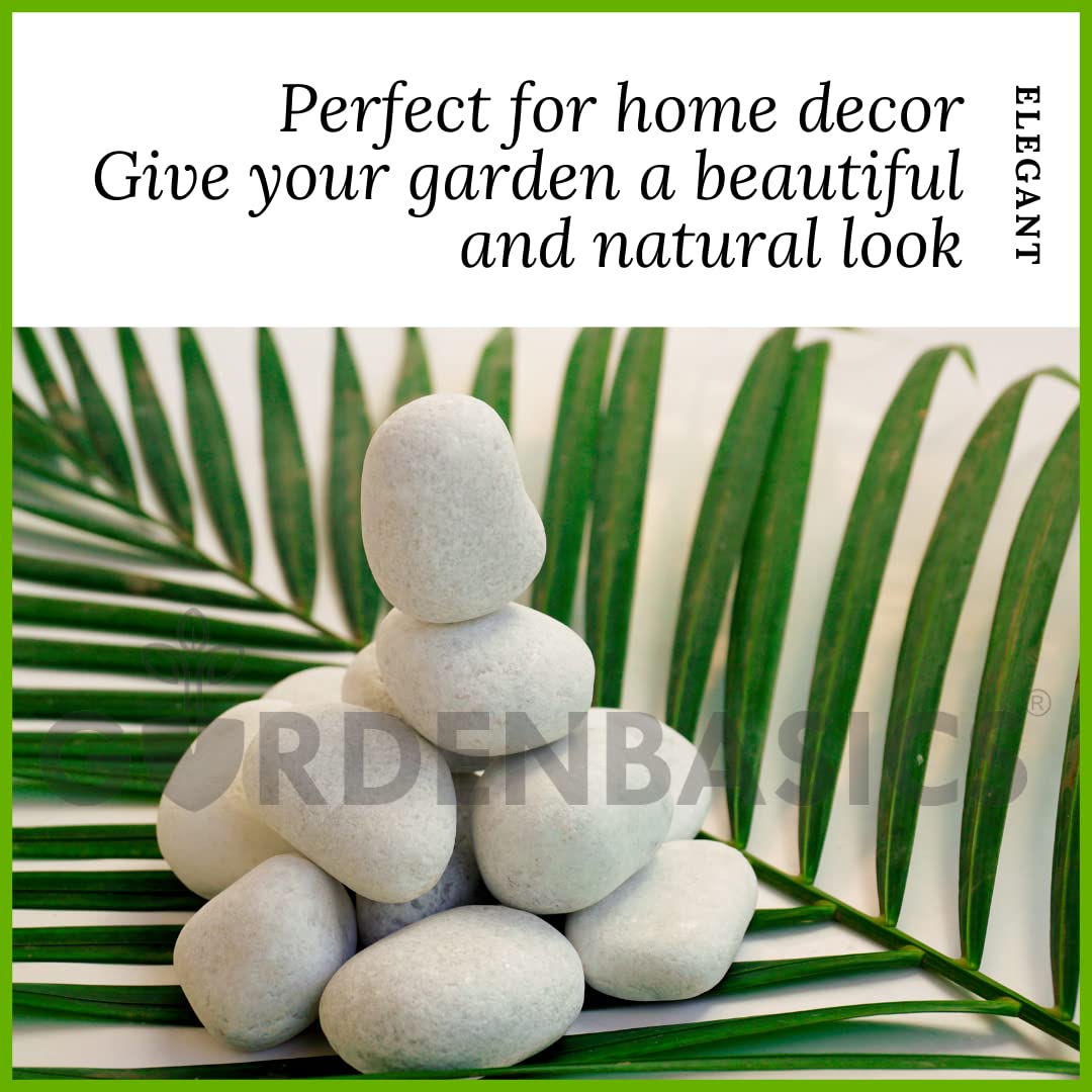 GARDENBASICS Unpolished White Pebbles/Pebble/Natural Decorative River Water Rocks/Stones For Garden, Gardening, Landscaping, Home Decoration, Vase Fillers, Rock Art, and Potted Plants (10 kgs) - Image 3 thumbnail