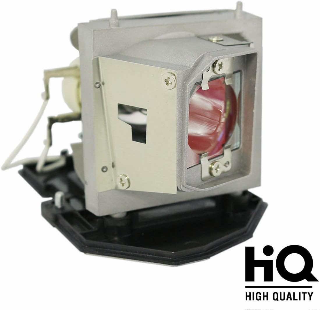 BL-FU190D/SP.8TM01GC01 Replacement Bulb for Projector Lamp with Housing