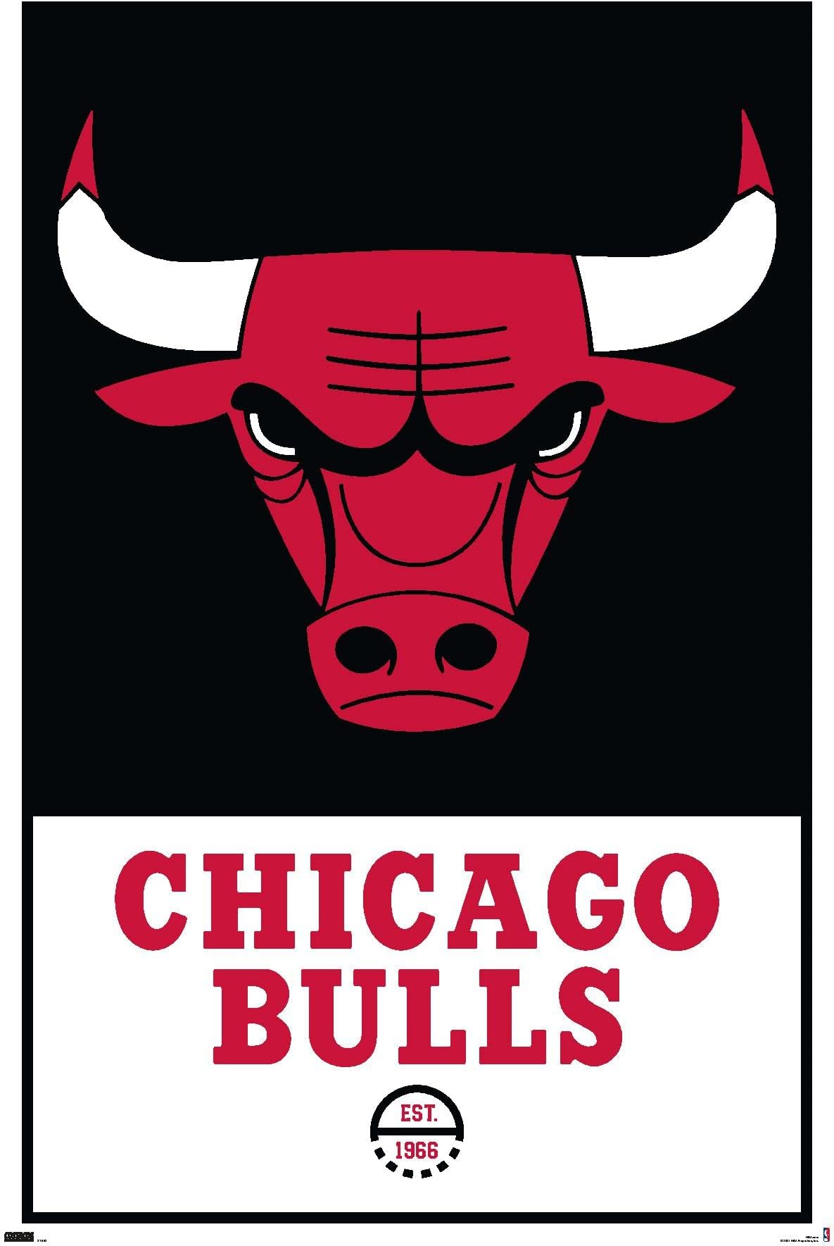 Adidas x chicago bulls Outlet