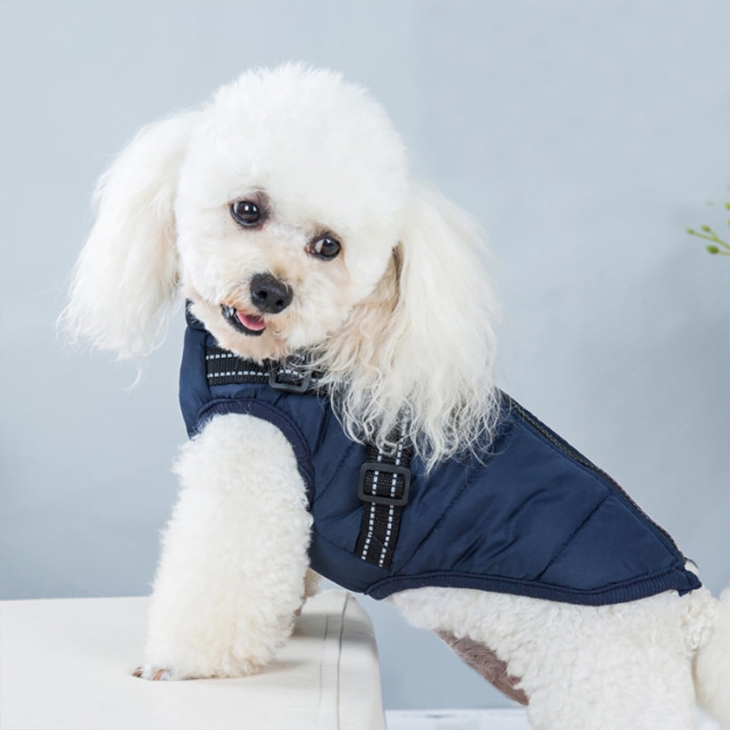 Eezita Winter Puppy Coat waterproof, reflective jacket to keep small pets warm and visible in snow rain,for Small Medium Dogs (blue S) - Image 2