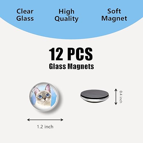 Miniatura 3 de 12 imanes de cristal para nevera, lindos gatos, imanes decorativos para refrigerador, para cocina, oficina, pizarra, gabinete y lavavajillas