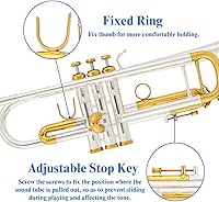 Vista 17 de Instrumento de trompeta, banda y orquesta Instrumentos musicales para principiantes o estudiantes avanzados, con estuche de trompetas, boquilla