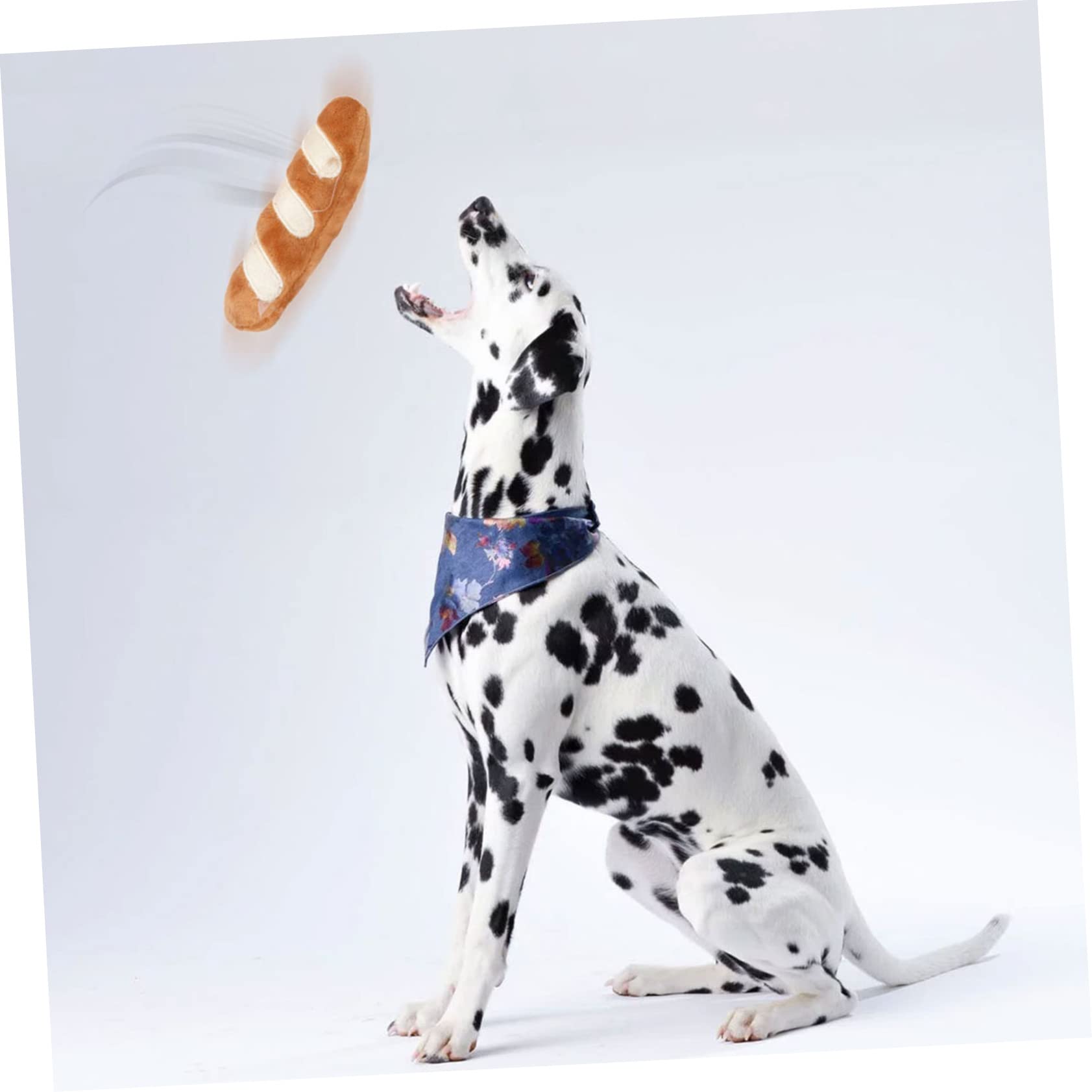 Kisangel 12stücke Teiliges Interaktive Hundespielzeuge Aus Plüsch Unzerstörbare Quietschspielzeuge Für Hunde Pet Educational Toy Zur Zahnpflege Und Spielzeit
