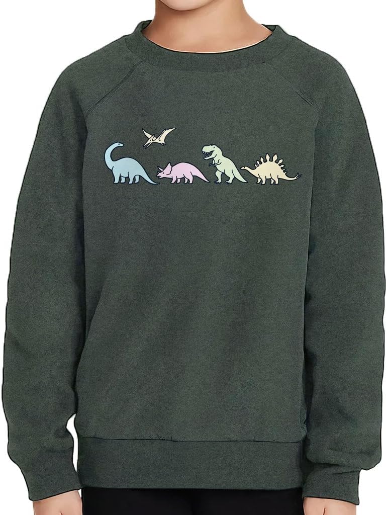 Cute Dinosaurs Toddler Raglan Sweatshirt - Dino Lover Boy Clothing - Boy Clothing