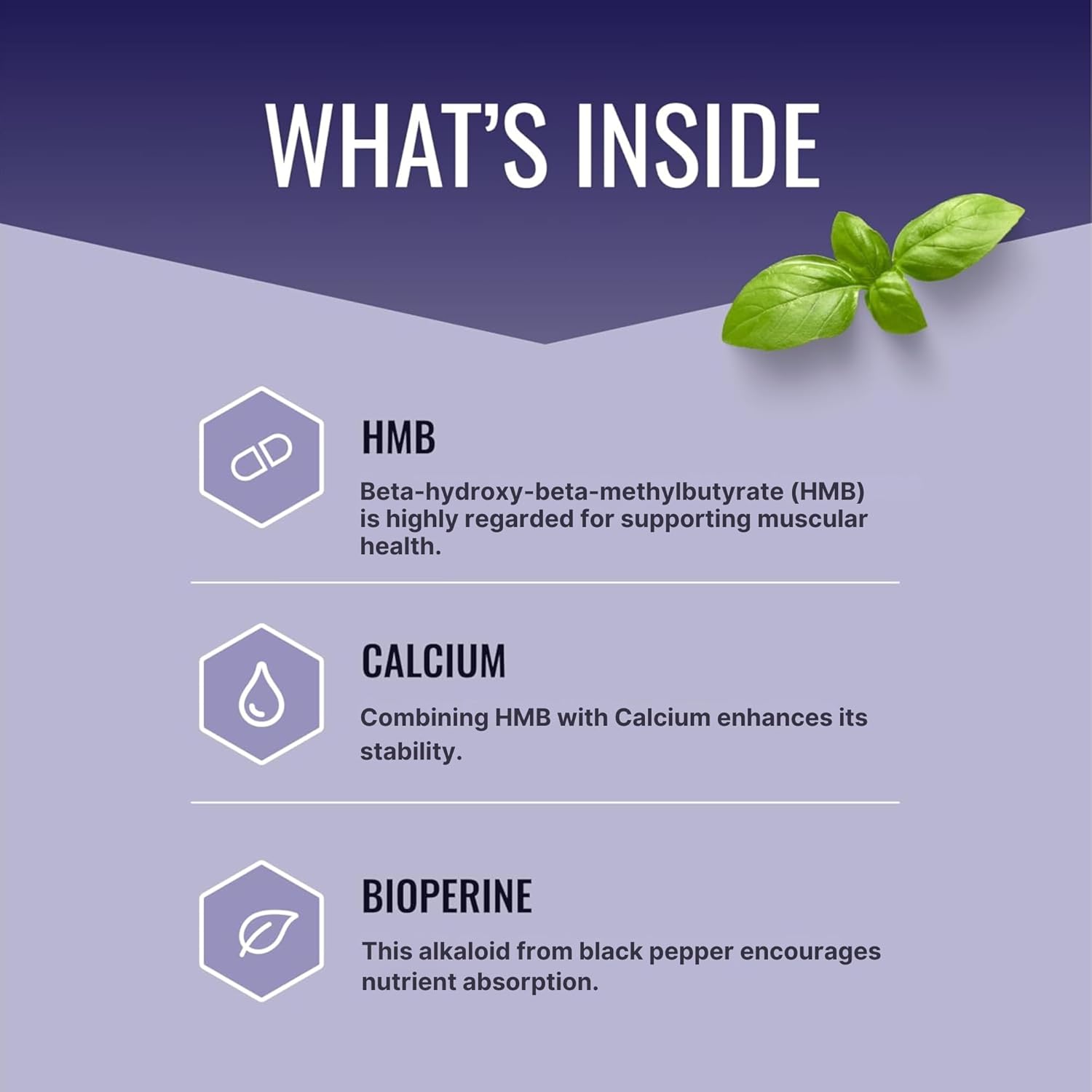 Approved Science HMB - 1500mg High Potency HMB Supplement with Calcium & BioPerine for Absorption - Muscle Health & Exercise Performance - 60 Vegan Capsules - 1 Month Supply