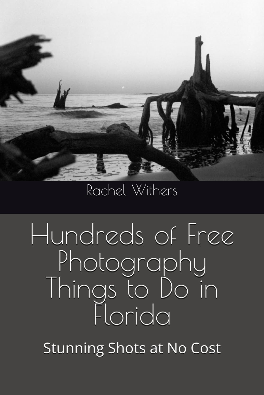 Hundreds of Free Photography Things to Do in Florida: USA