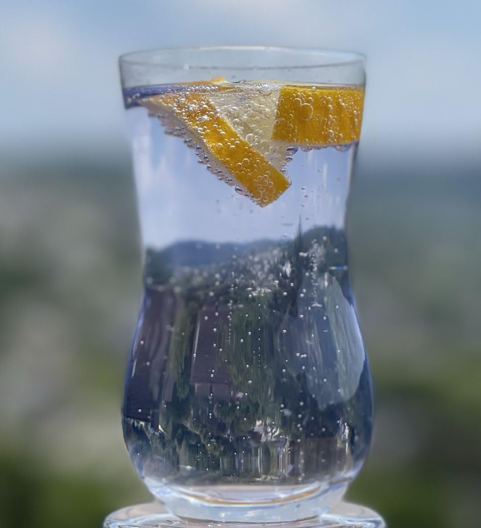 Topkapi elite 251.181 Tommy - Juego de 2 vasos especiales para ginebra tónica, cuerpo de cristal entallado, apto para lavavajillas, hecho a mano, cristal sin plomo, fabricado en Alemania
