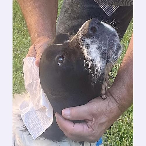 Miniatura 5 de Repelente de insectos, toallitas Towellette sin DEET al 20% de picaridina (paquete de 10) Tell Your Bye Bye Skeeter Story