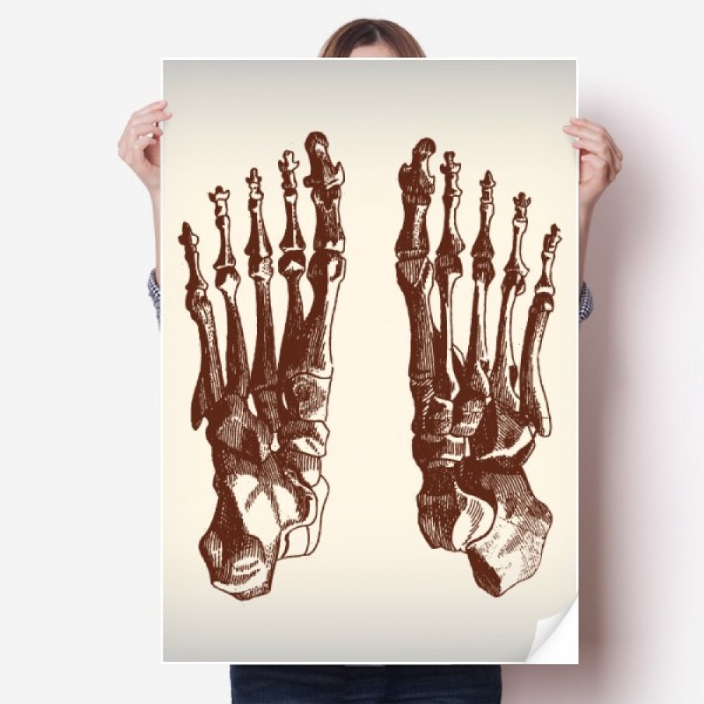 Autocollant de sketch d'os du pied humain DIYthinker affiche multicolore de 80x55 cm pour mur