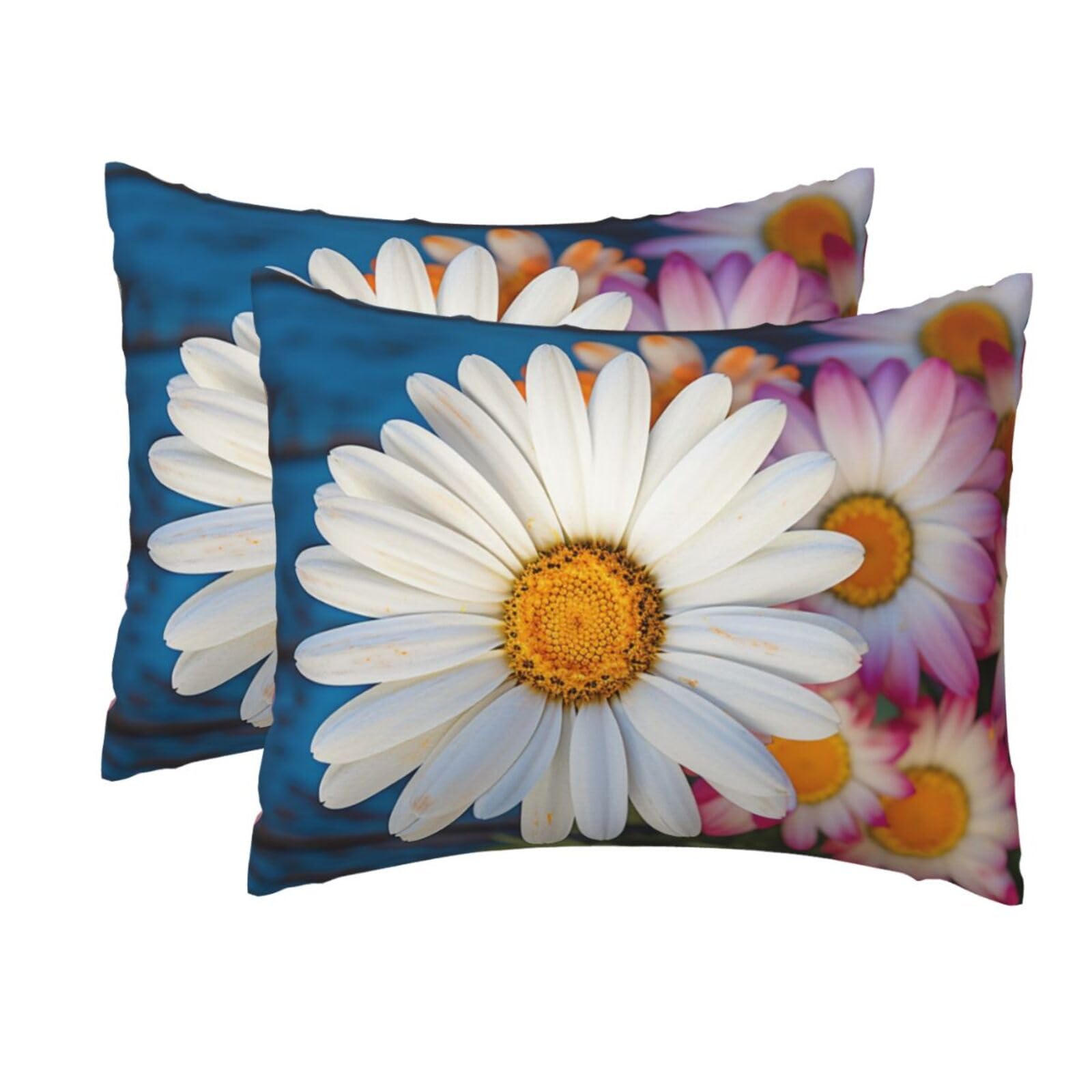 2 Pack Standard Pillow Cases with Hidden Zipper, Soft Breathable Pillow Covers for Hair and Skin, Barberton Daisy Pillowcases 20"x26" Bed Pillow Protectors Cover for Sleeping Gifts