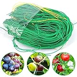 Se utiliza para la tracción y el crecimiento de enredaderas como frijoles, pepinos, tomates, clemátides, campanillas y calabazas, y proporciona funciones de apoyo.