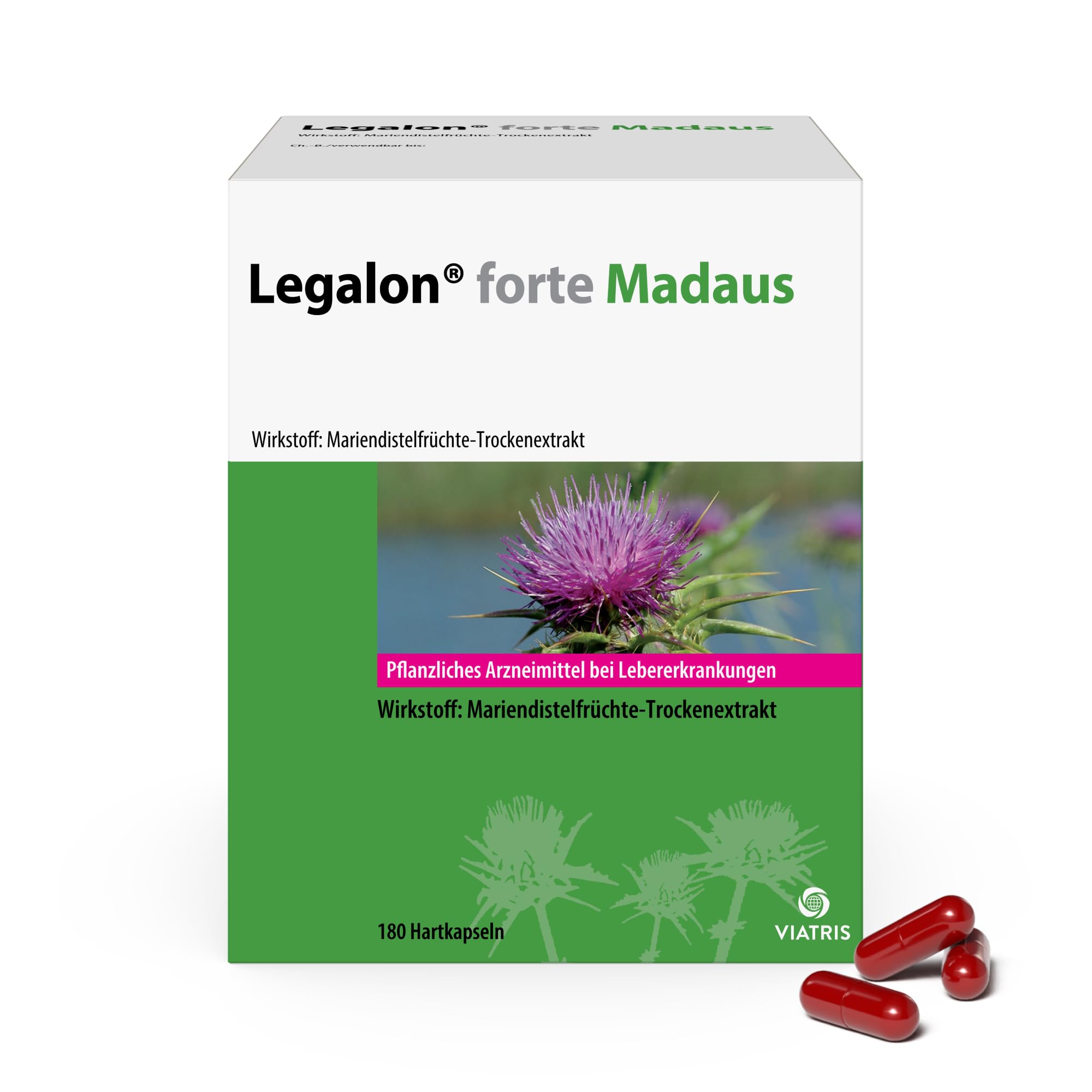 forte Madaus 180 Hartkapseln - Mariendiestel Kapseln, hilft die Leber zu entgiften, pflanzliches Arzneimittel, unterstützt die natürliche Leberfunktion - mit 140mg Silymarin