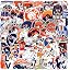 50 Pcs Denver Stickers