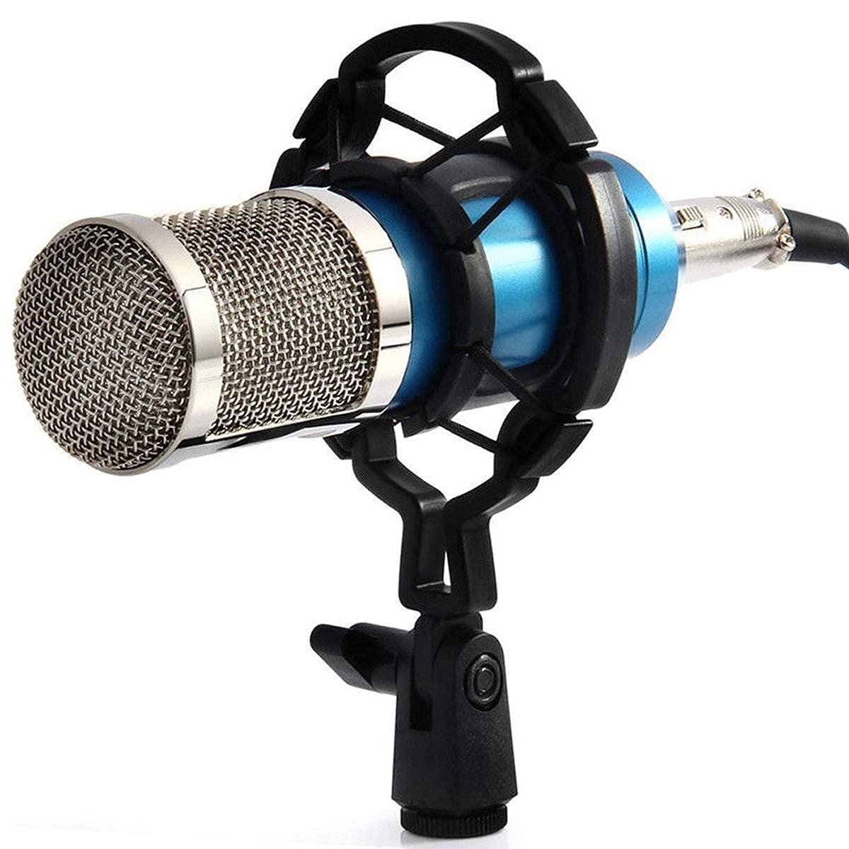 ❤プロのスタジオ収録をご自宅で♪❤プロフェッショナルコンデンサーマイクセット Amazon | プロフェッショナル コンデンサー マイク、スタジオ