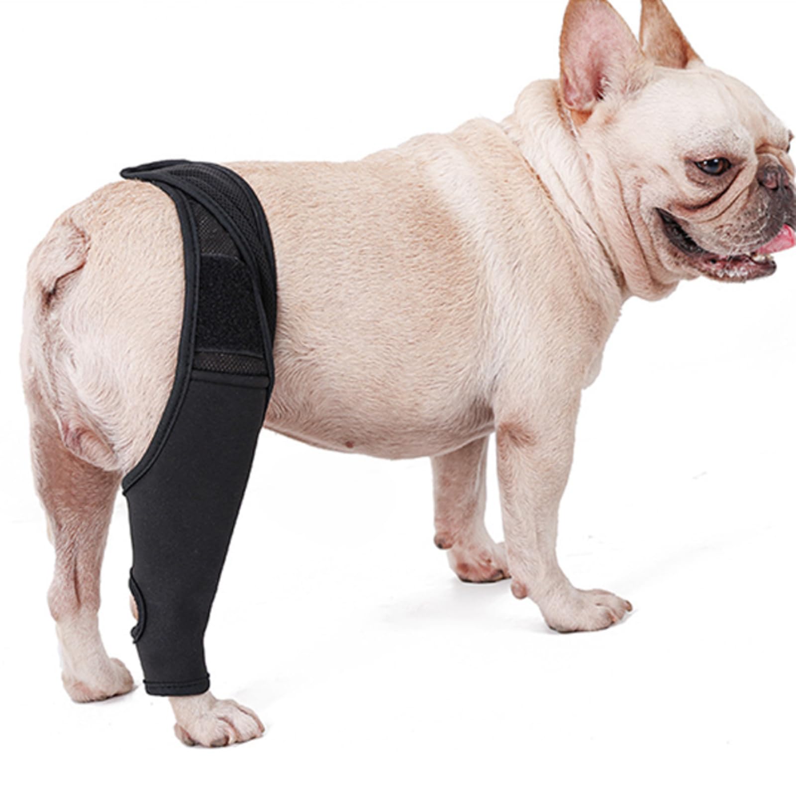 Amazon | [FRENCH FRENCH] 犬 サポーター 犬用 膝 関節 膝 靭帯 脱臼